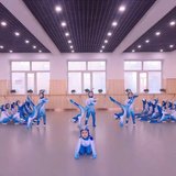舞蹈室PVC塑胶地板