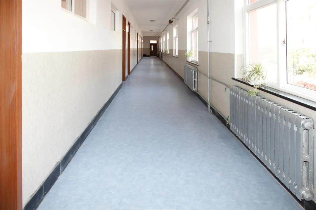 学校地胶